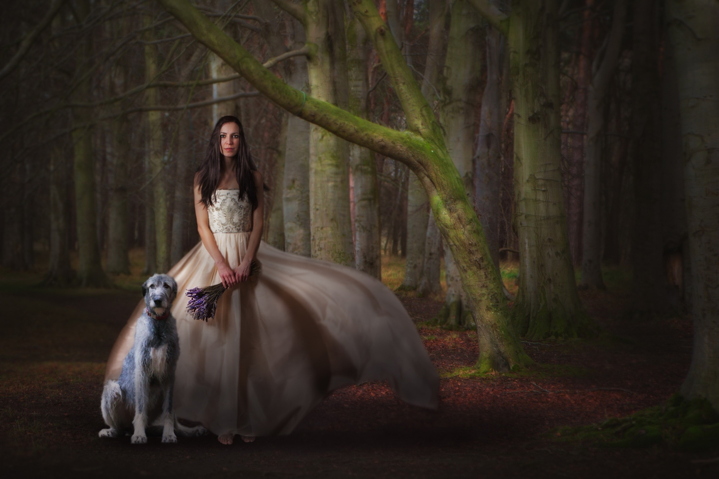 Screenshot №1 pro téma Girl, Lavender Bouquet And Dog 2880x1920
