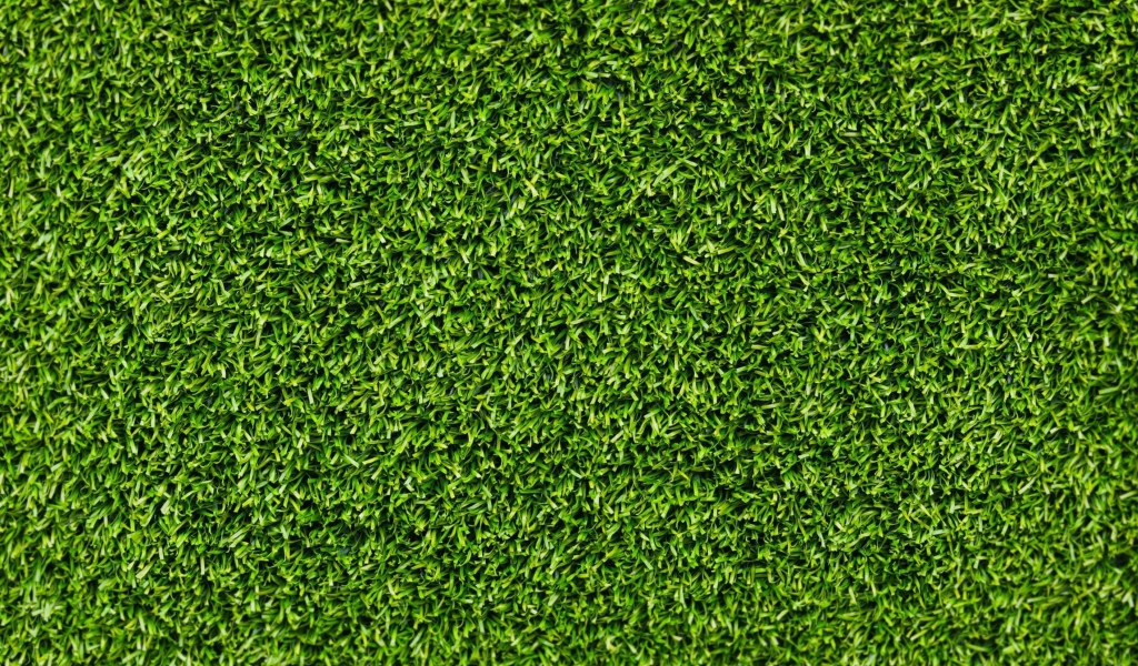 Screenshot №1 pro téma Green Grass 1024x600