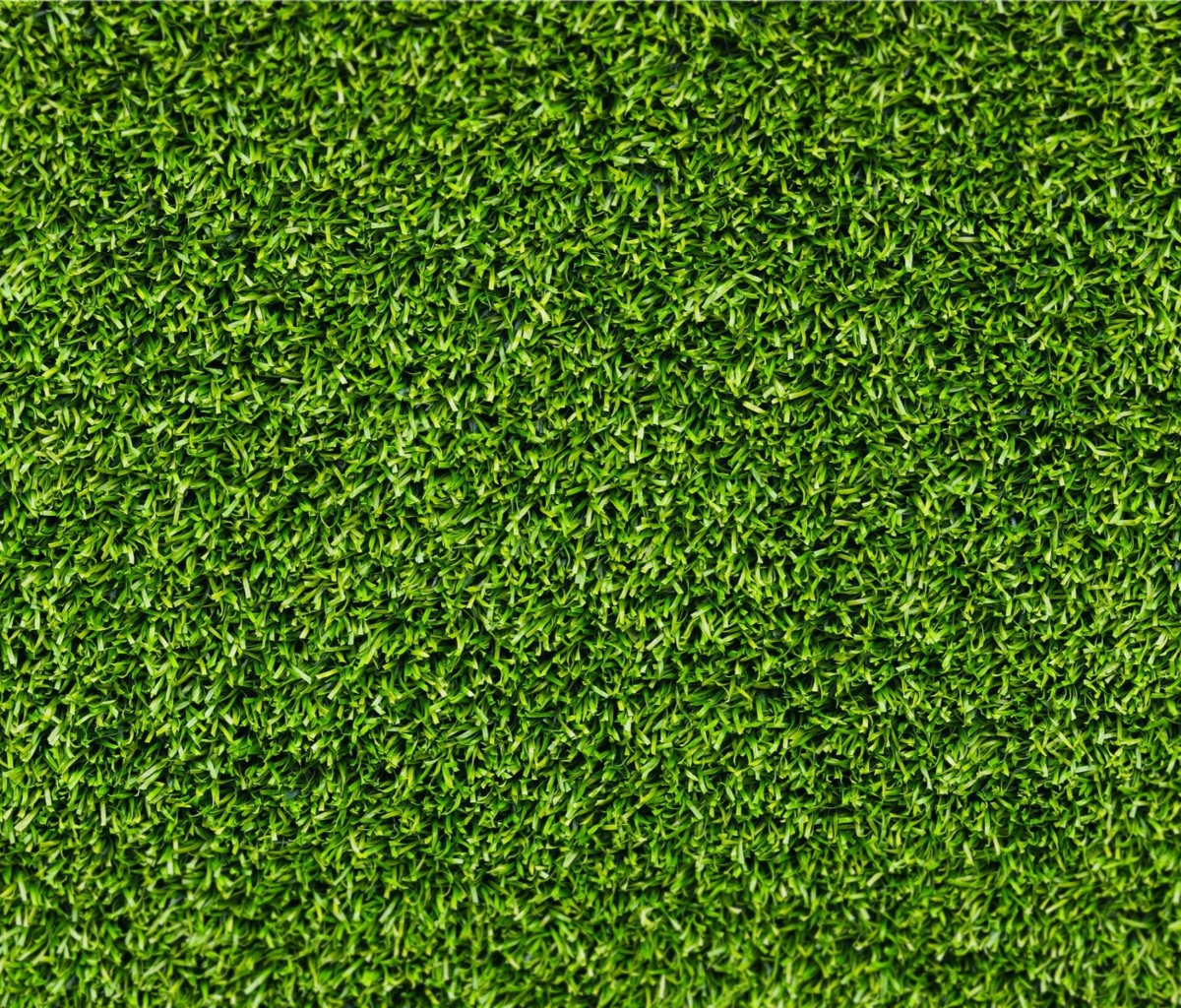 Fondo de pantalla Green Grass 1200x1024