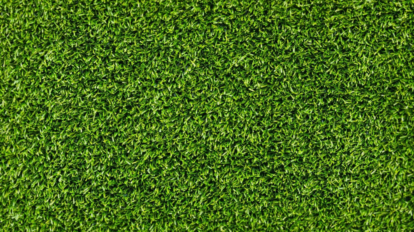 Green Grass screenshot #1 1366x768