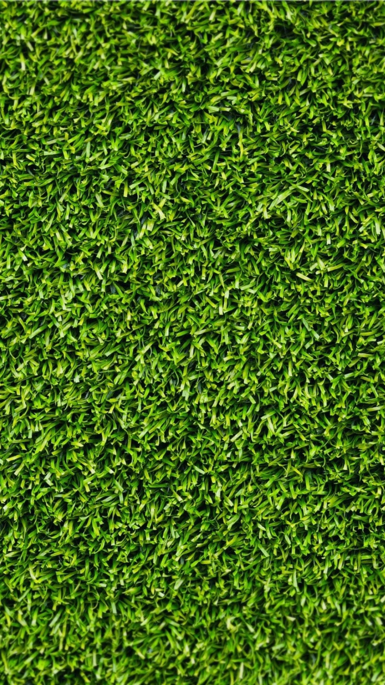 Screenshot №1 pro téma Green Grass 750x1334