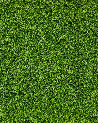 Green Grass - Obrázkek zdarma pro Nokia C-5 5MP