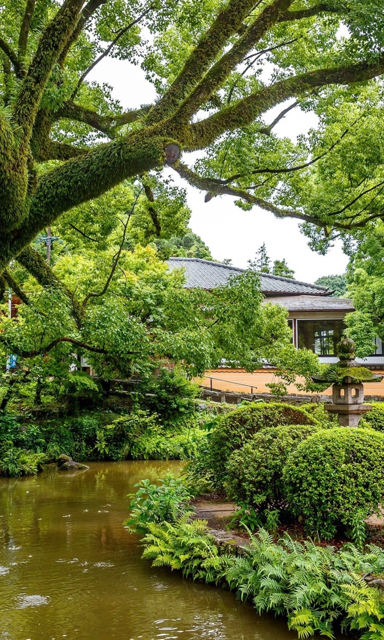 Singapore Garden wallpaper 768x1280