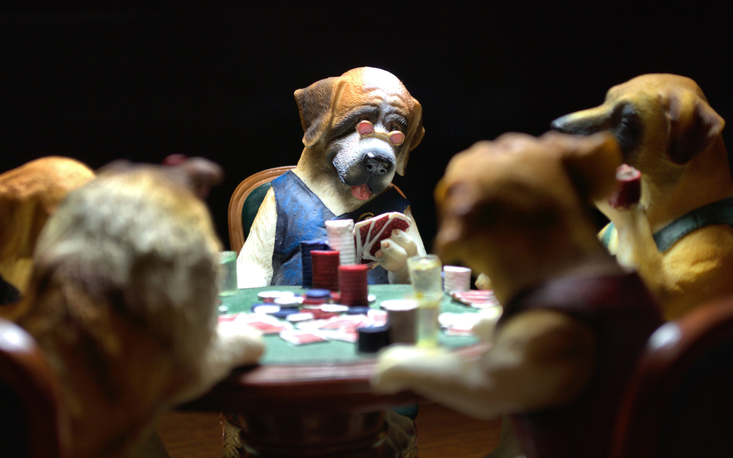 Das Dogs Playing Poker Wallpaper 2560x1600