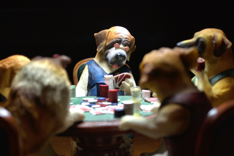 Fondo de pantalla Dogs Playing Poker 480x320