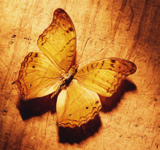 Glitter Gold Butterfly - Fondos de pantalla gratis para iPad 2