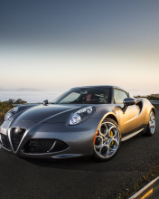 Sfondi Alfa Romeo 4C 176x220