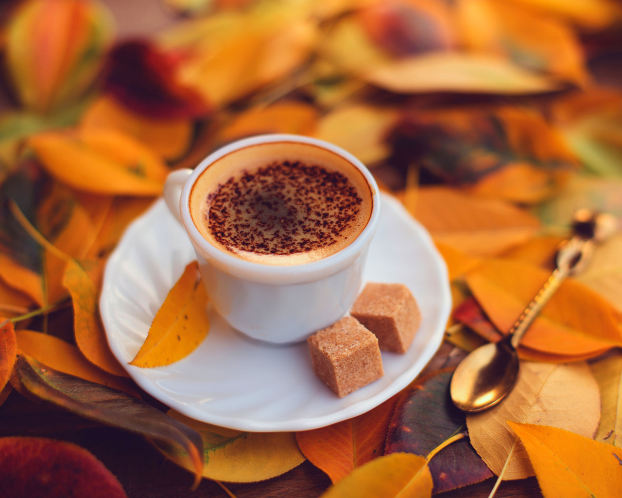 Обои Autumn Cappuccino 1280x1024