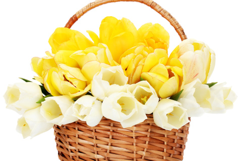 Screenshot №1 pro téma Spring Tulips in Basket 480x320