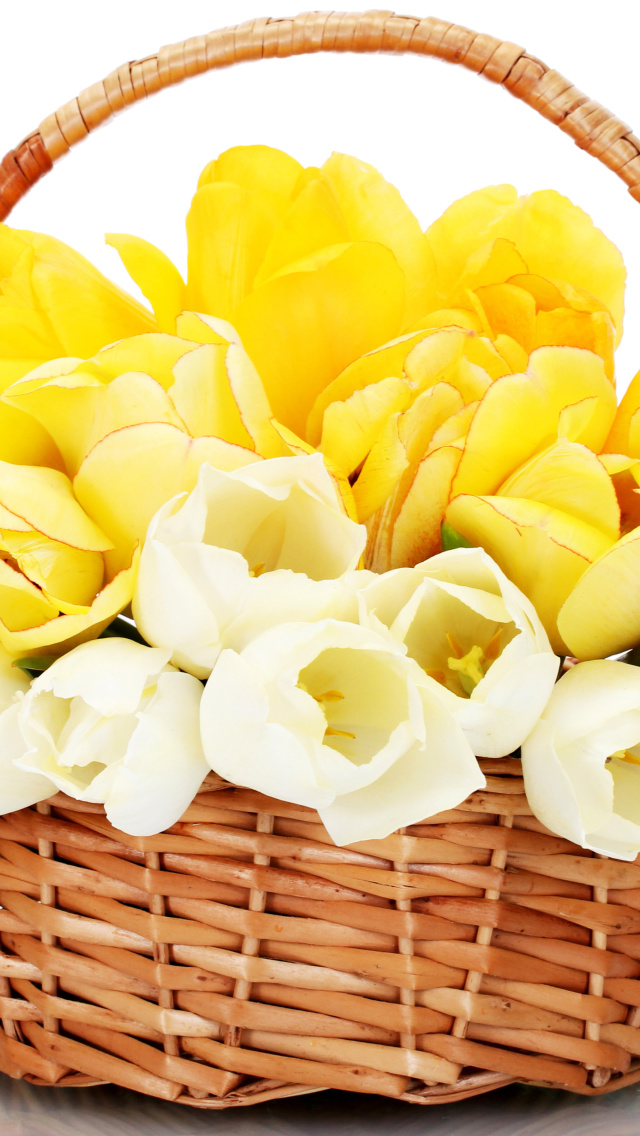 Spring Tulips in Basket wallpaper 640x1136