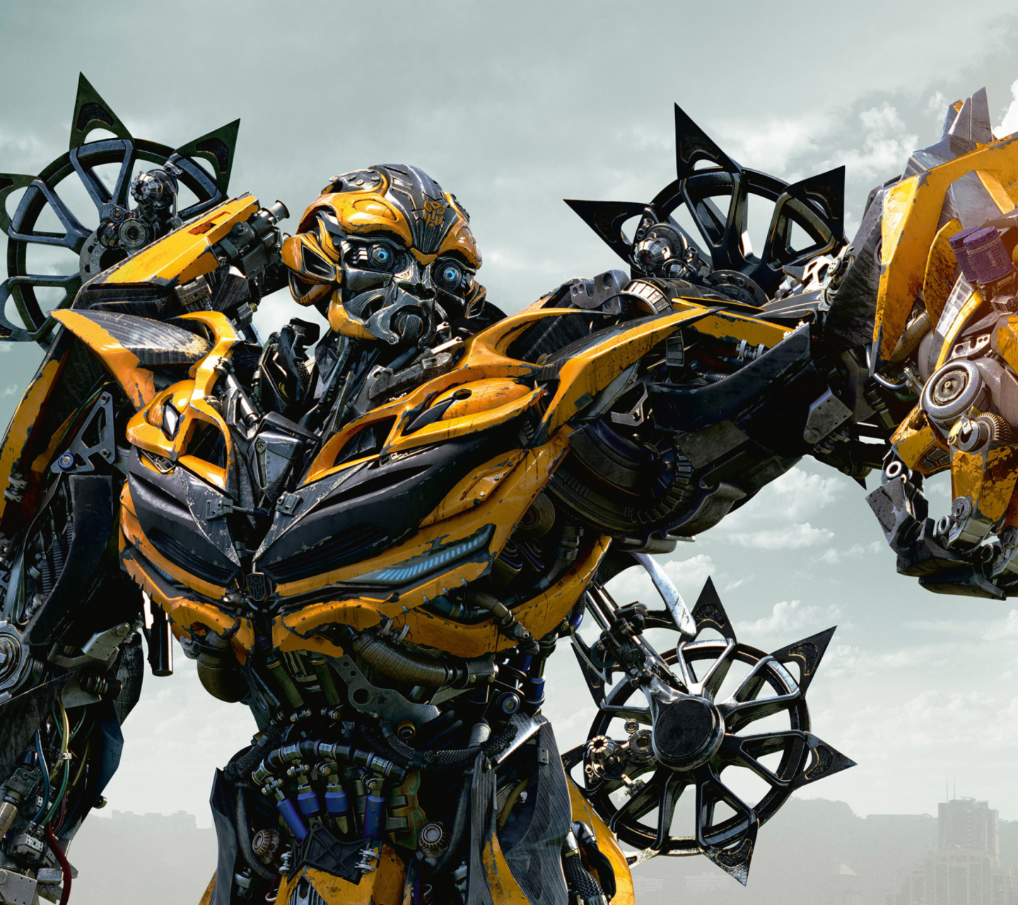 Das Bumblebee Wallpaper 1440x1280