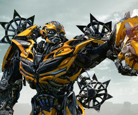 Bumblebee wallpaper 480x400