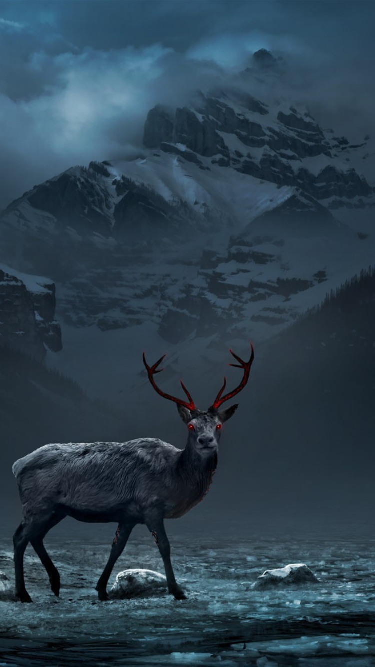Reindeer wallpaper 750x1334