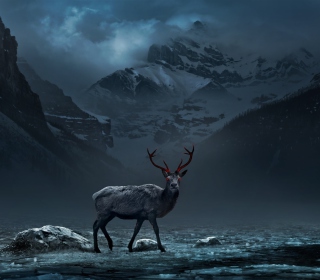 Reindeer - Obrázkek zdarma pro 1024x1024