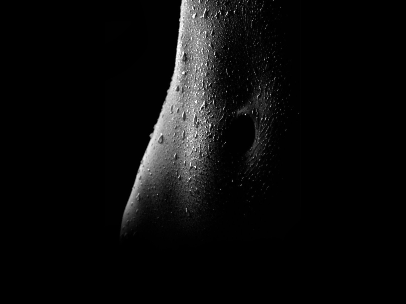 Fondo de pantalla Wet Body Black White 1400x1050