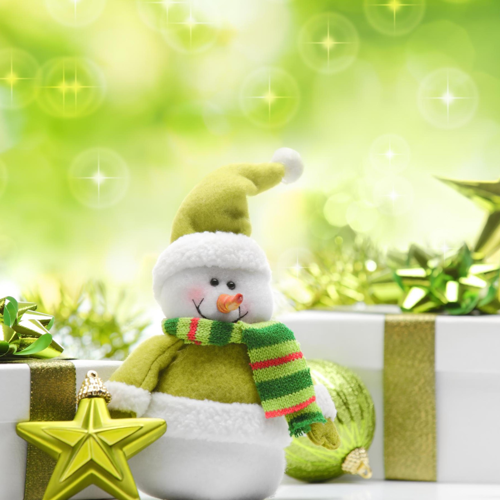 Sfondi Cute Green Snowman 2048x2048