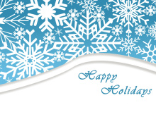 Sfondi Snowflakes for Winter Holidays 220x176