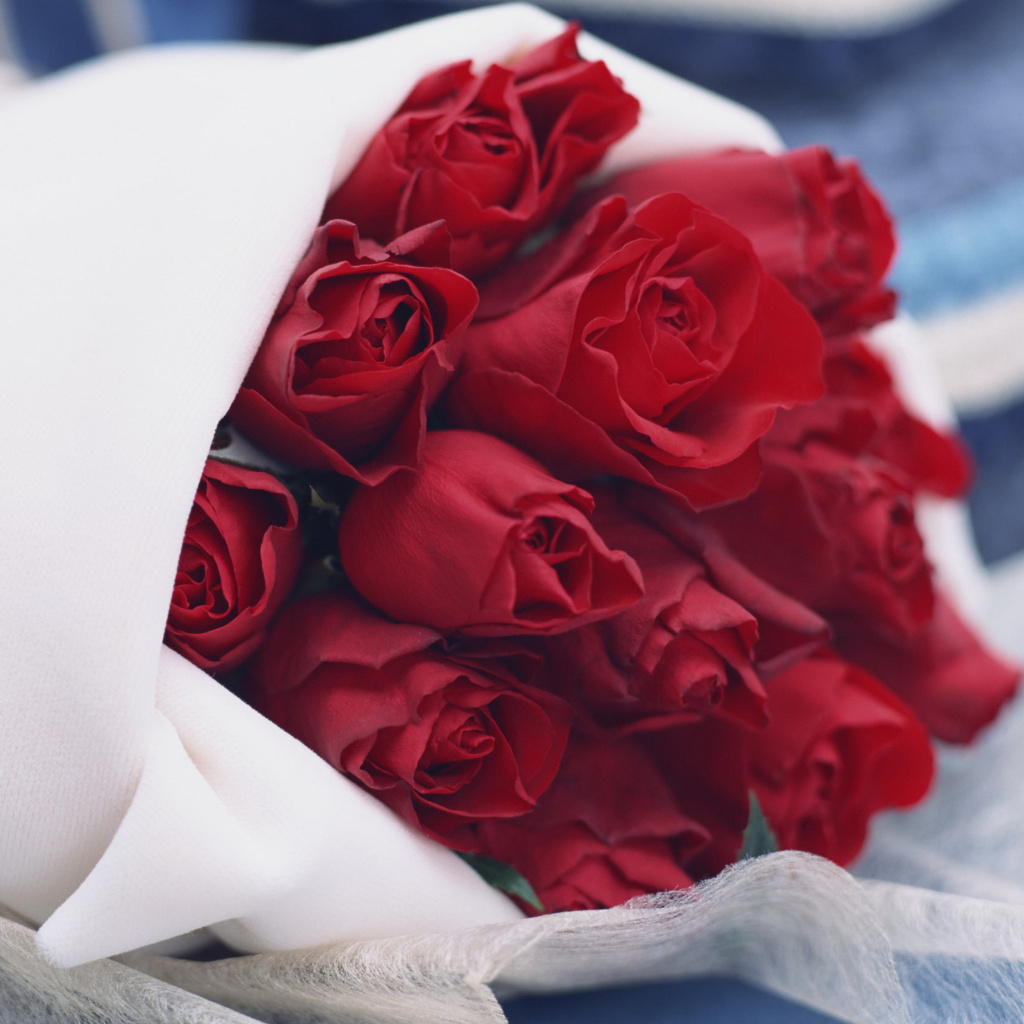 Обои Bouquet Passion Roses 1024x1024