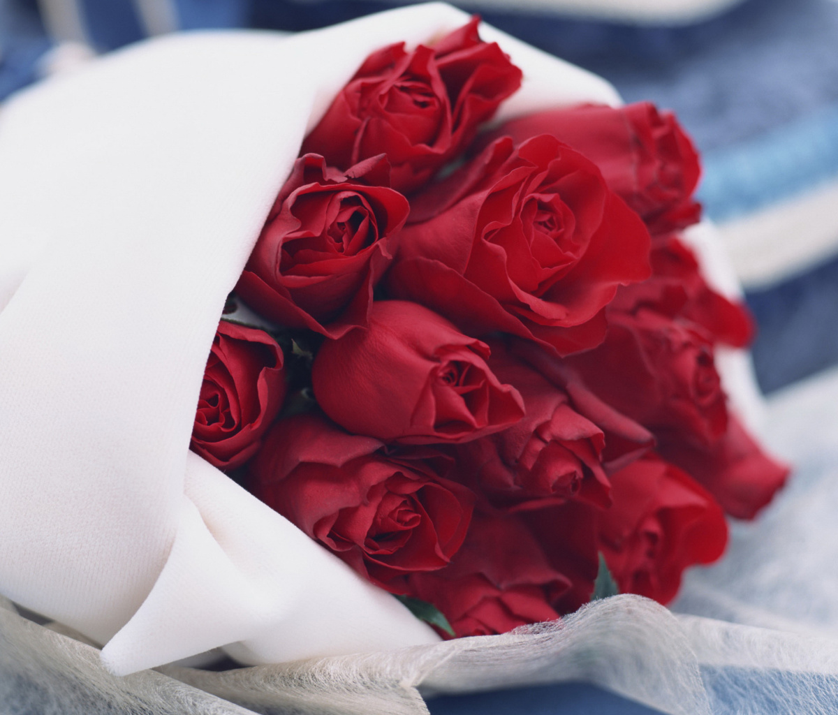 Fondo de pantalla Bouquet Passion Roses 1200x1024