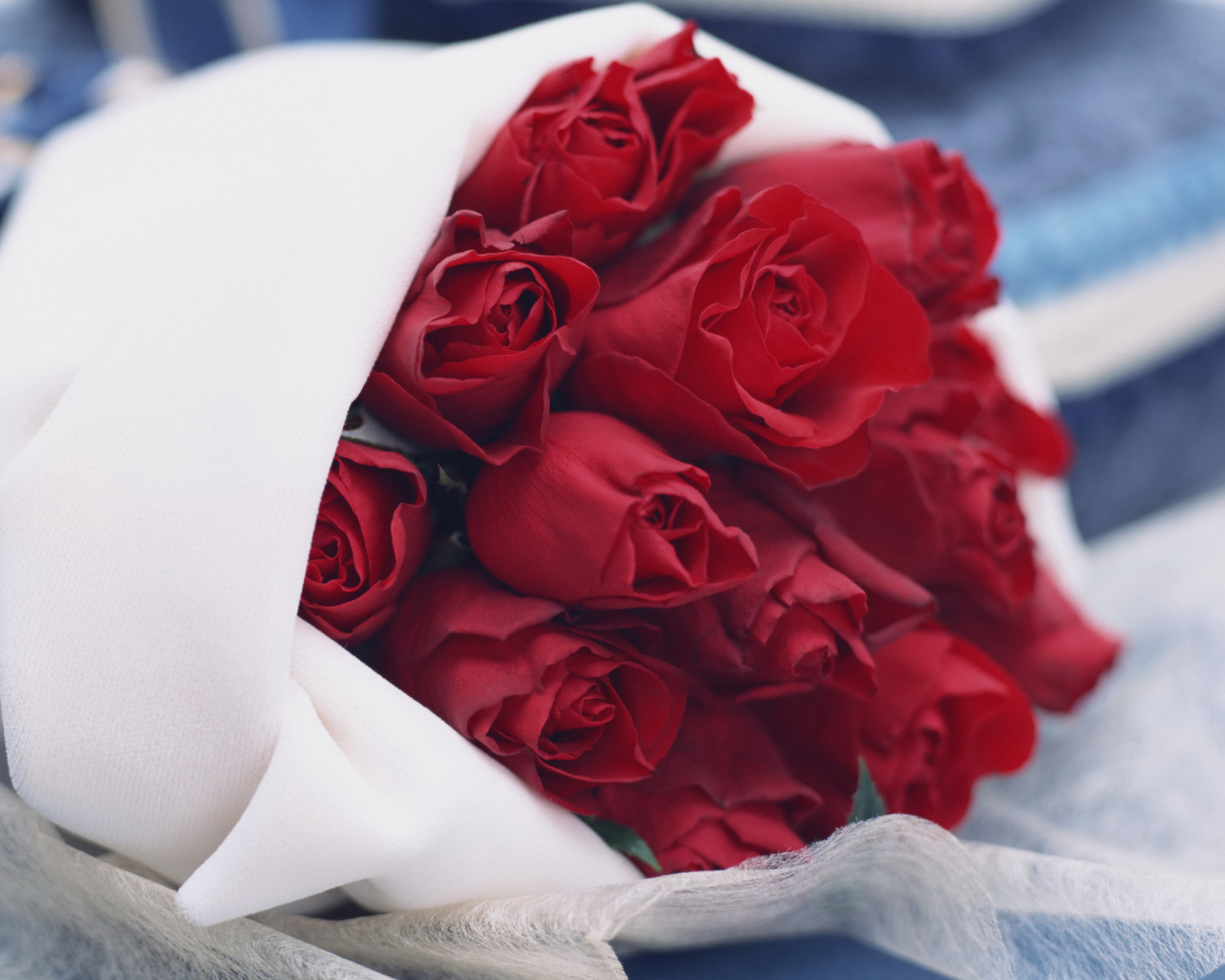 Bouquet Passion Roses screenshot #1 1600x1280
