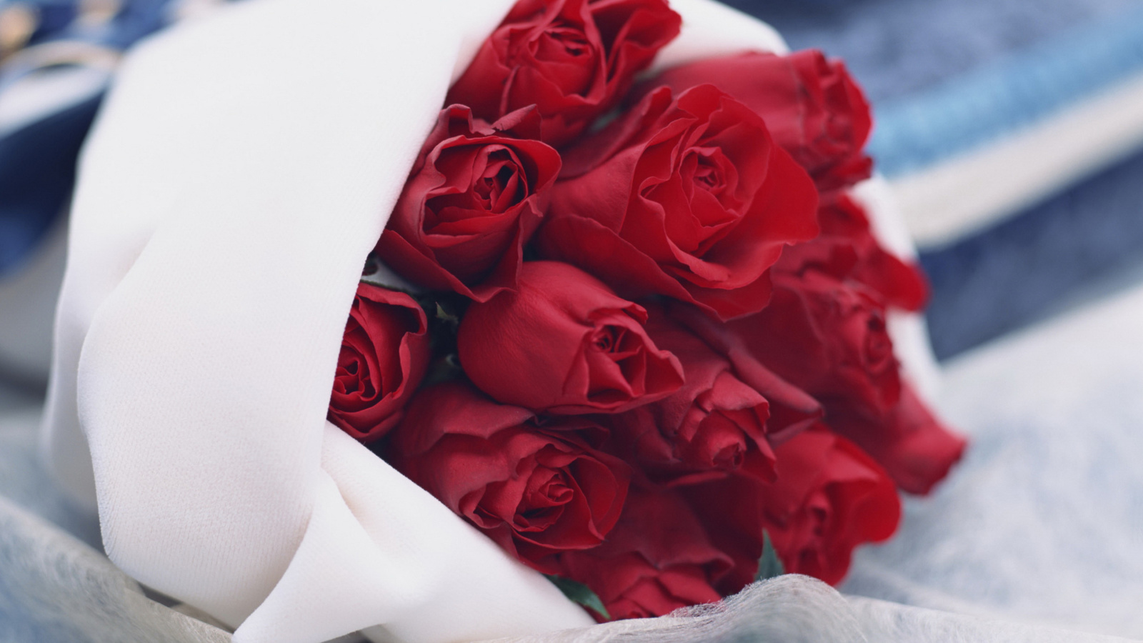 Обои Bouquet Passion Roses 1600x900