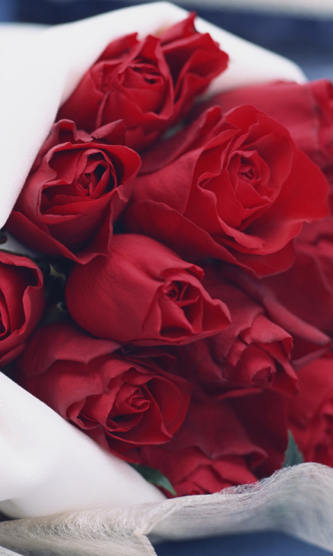 Bouquet Passion Roses wallpaper 480x800