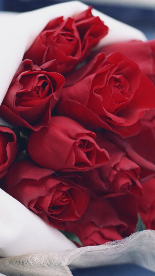 Das Bouquet Passion Roses Wallpaper 640x1136