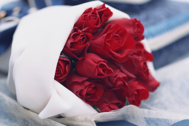 Fondo de pantalla Bouquet Passion Roses