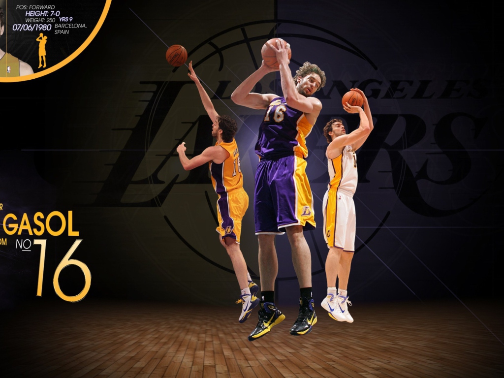 Screenshot №1 pro téma Pau Gasol Basketball Palyer 1024x768