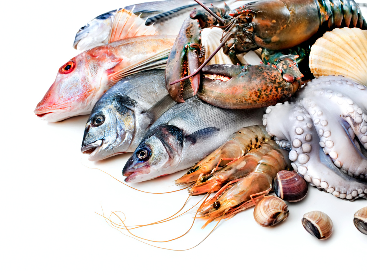 Das Fresh Seafood Wallpaper 1280x960