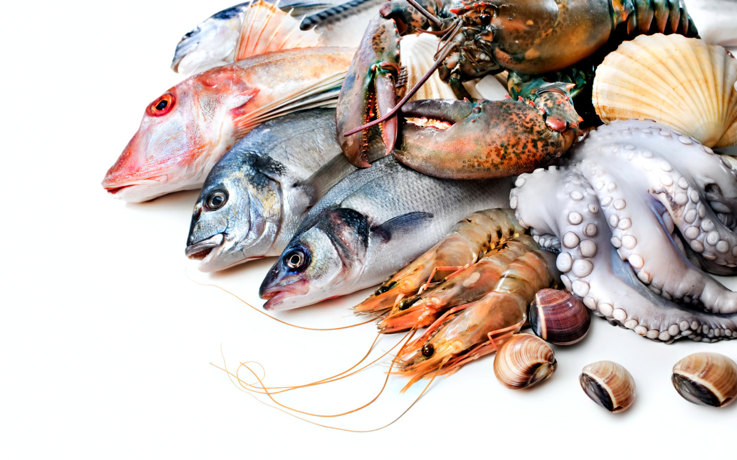 Das Fresh Seafood Wallpaper 1440x900
