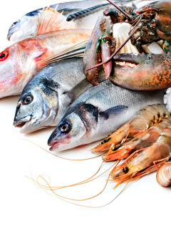 Fresh Seafood screenshot #1 240x320