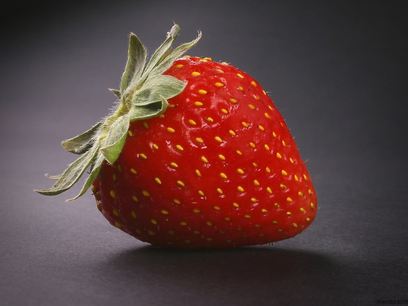 Strawberry screenshot #1 800x600
