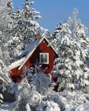 Fondo de pantalla Winter in Sweden 128x160