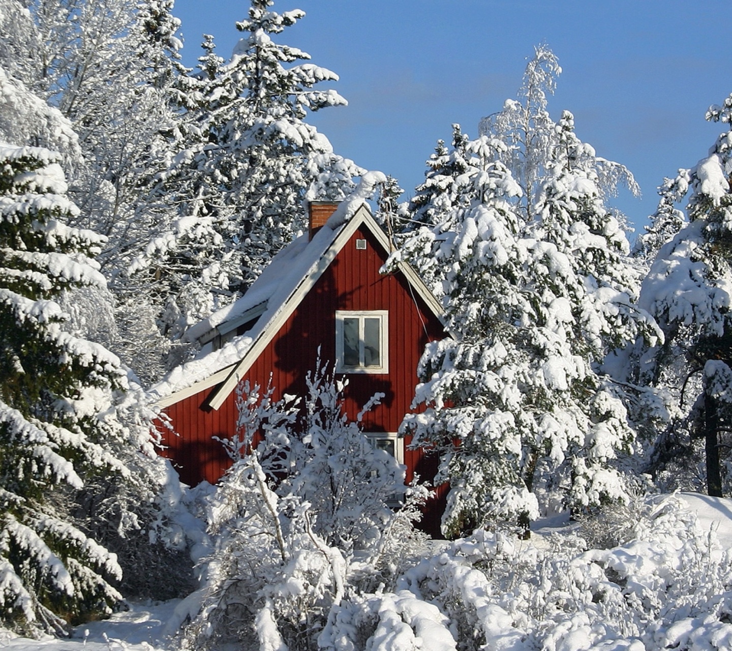 Обои Winter in Sweden 1440x1280