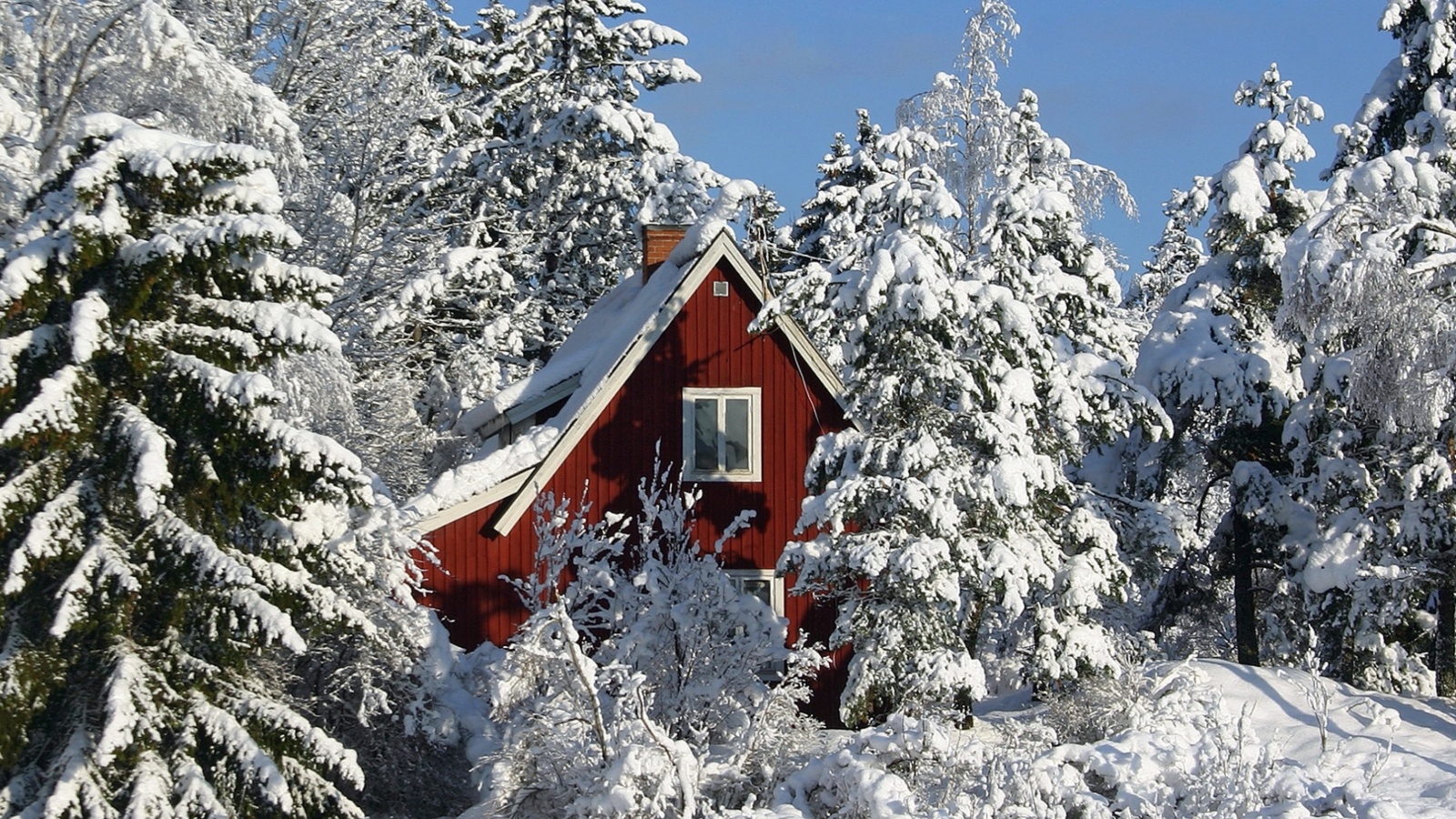 Winter in Sweden wallpaper 1600x900