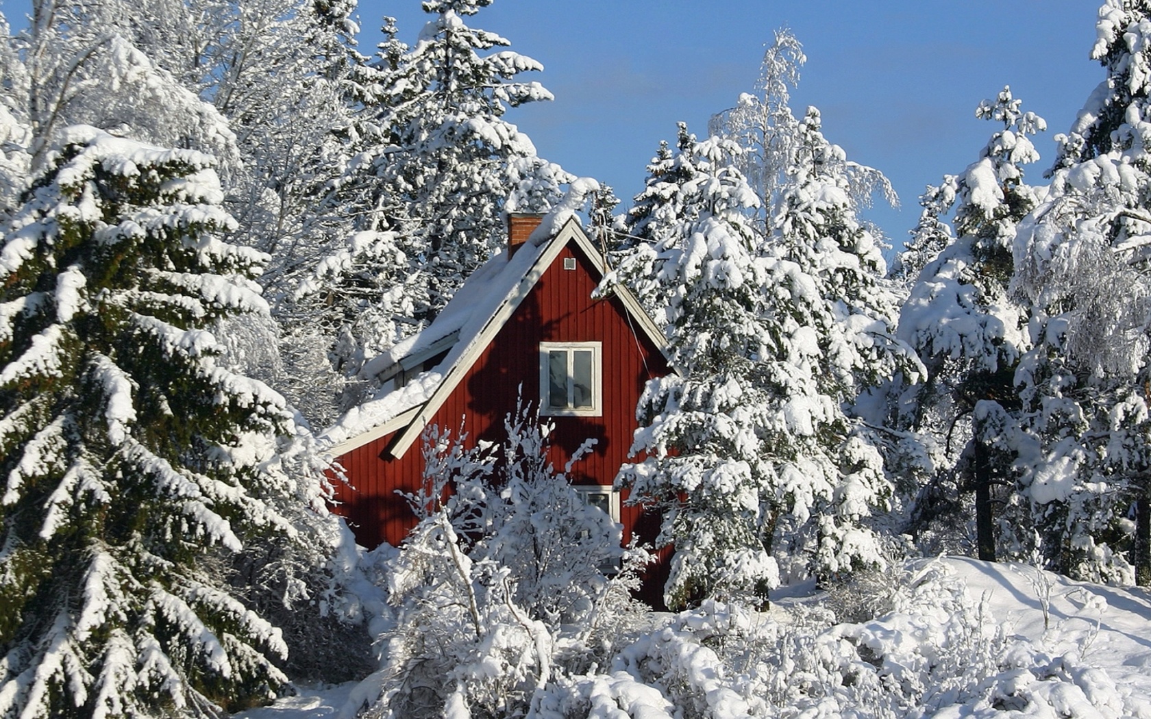Screenshot №1 pro téma Winter in Sweden 1680x1050