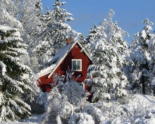 Screenshot №1 pro téma Winter in Sweden 220x176