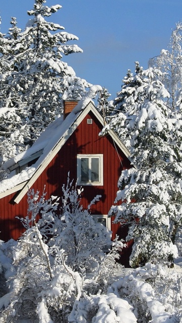 Обои Winter in Sweden 360x640