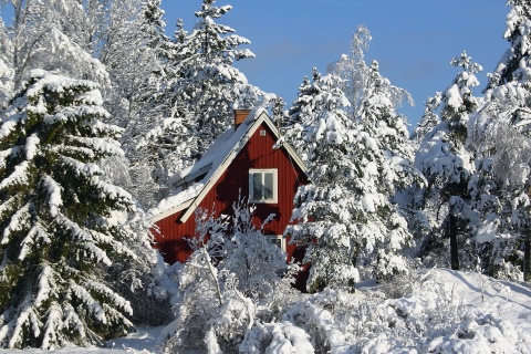 Screenshot №1 pro téma Winter in Sweden 480x320