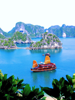 Sfondi Vietnam Attractions 240x320