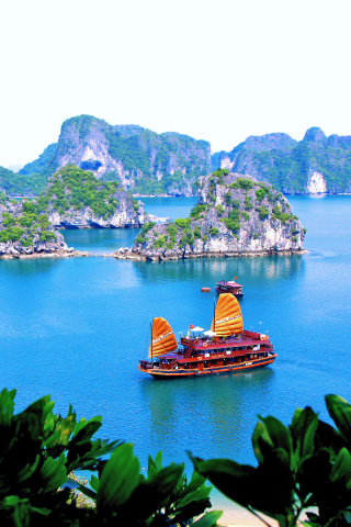 Das Vietnam Attractions Wallpaper 320x480