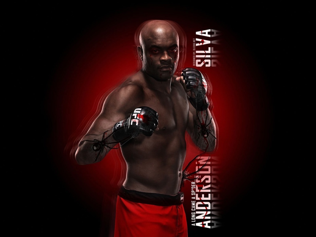 Fondo de pantalla Anderson Silva UFC 1024x768