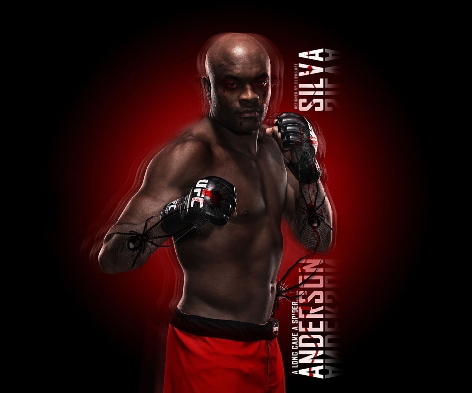 Das Anderson Silva UFC Wallpaper 960x800