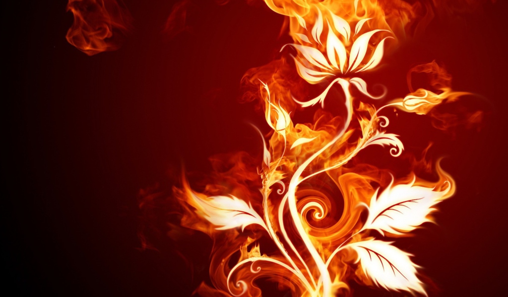 Screenshot №1 pro téma Fire Flower 1024x600