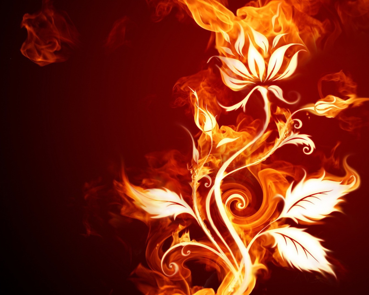 Обои Fire Flower 1280x1024