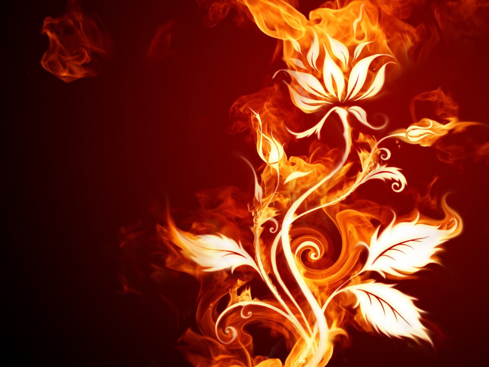 Das Fire Flower Wallpaper 1600x1200