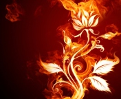 Screenshot №1 pro téma Fire Flower 176x144