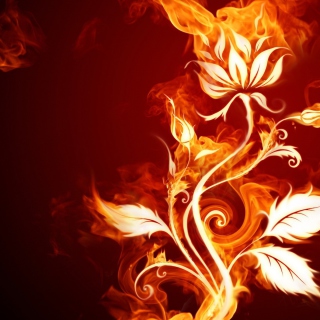 Kostenloses Fire Flower Wallpaper für iPad Air