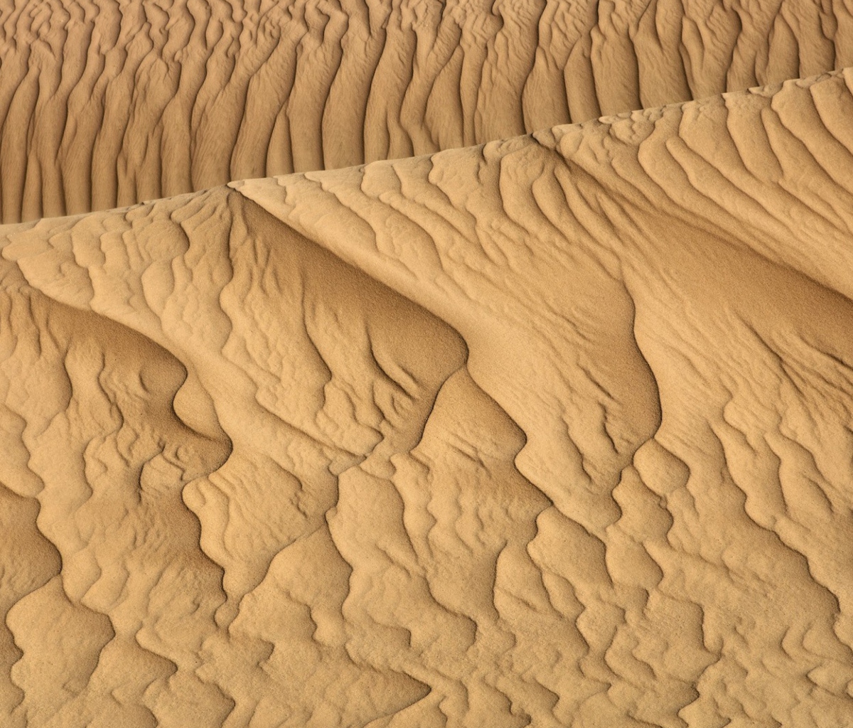 Screenshot №1 pro téma Sahara Sands 1200x1024